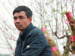 Ảnh bìa bài viết 595353