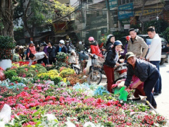 Ảnh bìa bài viết 595148