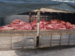 Ảnh bìa bài viết 595309