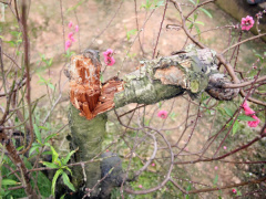 Ảnh bìa bài viết 595241