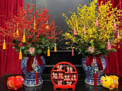 Ảnh bìa bài viết 595434
