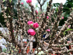 Ảnh bìa bài viết 595659