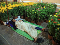 Ảnh bìa bài viết 595767