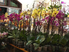 Ảnh bìa bài viết 596078
