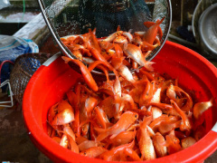 Ảnh bìa bài viết 595939