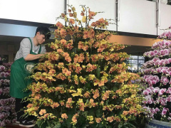 Ảnh bìa bài viết 595967