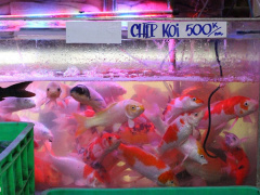 Ảnh bìa bài viết 596005