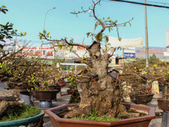 Ảnh bìa bài viết 595949