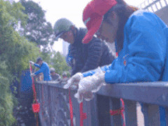 Ảnh bìa bài viết 596050