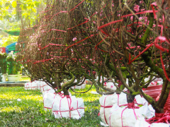 Ảnh bìa bài viết 596350