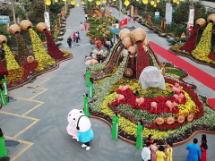 Ảnh bìa bài viết 596256