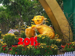 Ảnh bìa bài viết 596289