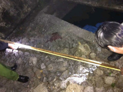 Ảnh bìa bài viết 596210