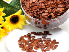 Ảnh bìa bài viết 596161