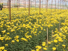 Ảnh bìa bài viết 596700