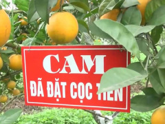 Ảnh bìa bài viết 596840