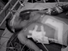 Ảnh bìa bài viết 596925