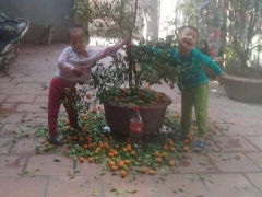 Ảnh bìa bài viết 596912