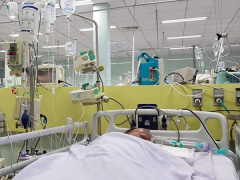 Ảnh bìa bài viết 596982