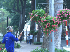 Ảnh bìa bài viết 597243