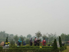 Ảnh bìa bài viết 597231