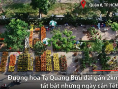 Ảnh bìa bài viết 597346