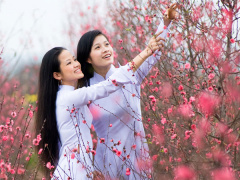 Ảnh bìa bài viết 597409