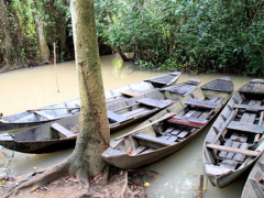 Ảnh bìa bài viết 597518