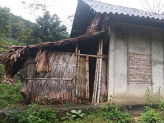 Ảnh bìa bài viết 597527