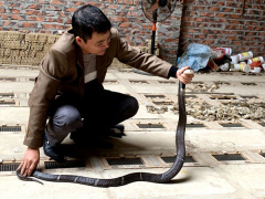 Ảnh bìa bài viết 597530