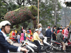 Ảnh bìa bài viết 597624