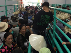 Ảnh bìa bài viết 597852