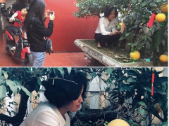 Ảnh bìa bài viết 597793
