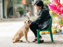 Ảnh bìa bài viết 597754
