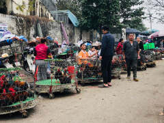 Ảnh bìa bài viết 597888