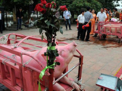 Ảnh bìa bài viết 597935