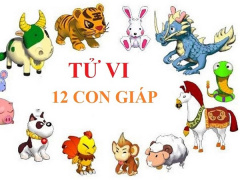 Ảnh bìa bài viết 598029