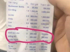 Ảnh bìa bài viết 598381