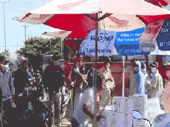 Ảnh bìa bài viết 598253