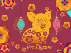 Ảnh bìa bài viết 598536