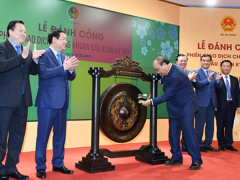 Ảnh bìa bài viết 598523