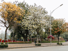 Ảnh bìa bài viết 598722