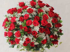 Ảnh bìa bài viết 598828