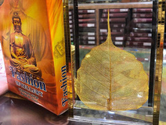 Ảnh bìa bài viết 598758