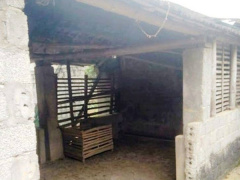 Ảnh bìa bài viết 598763