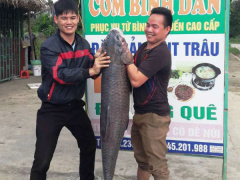 Ảnh bìa bài viết 599106