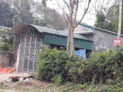 Ảnh bìa bài viết 598886