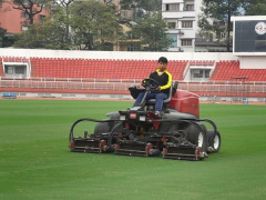 Ảnh bìa bài viết 599148