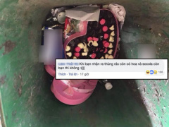 Ảnh bìa bài viết 599485
