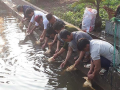 Ảnh bìa bài viết 599606